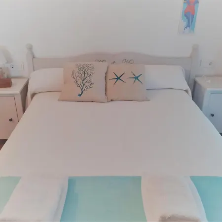 Carlar קאלה מורל